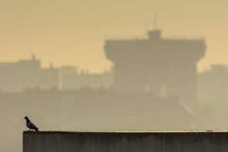 Magas a szálló por koncentrációja