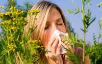 A 19. héten Tatabányán jelentősen lecsökkent a pollenterhelés