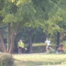 Mezei futóverseny (városi diákolimpia)  