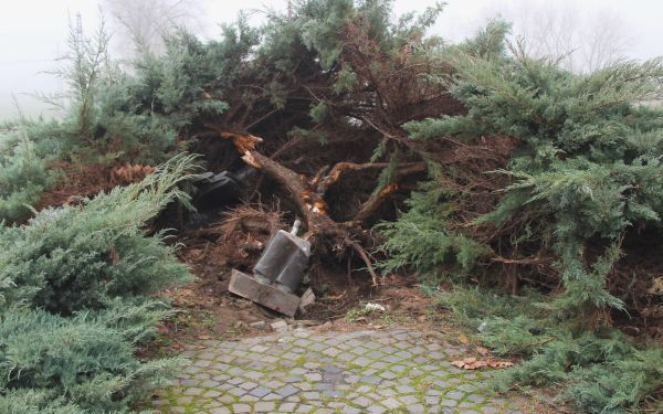 Összetört Radnóti-szobor – Feladta magát a rendőrségen a szoborrongáló