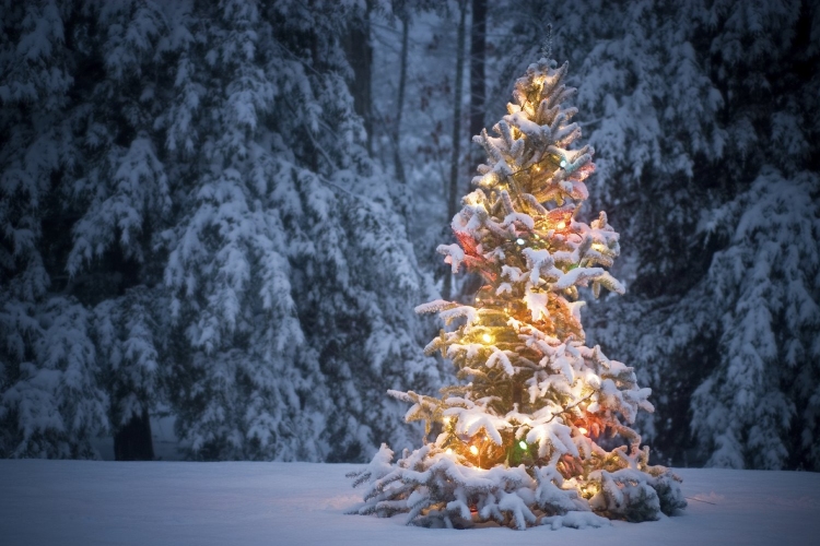 December:Karácsony hava -Télelő - Álom hava - Istenfiak (Tárkányok) hava