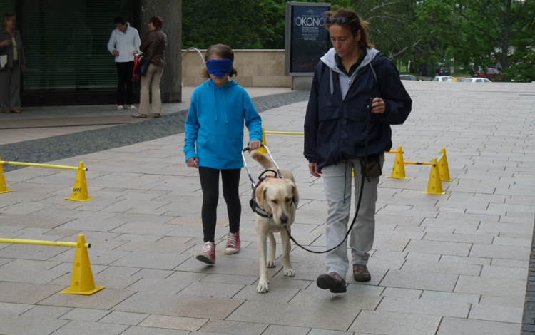 Esélyegyenlőségi nap az Árpád téren