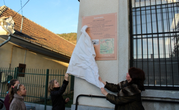 Felsőgallai kisvasút emléknapja