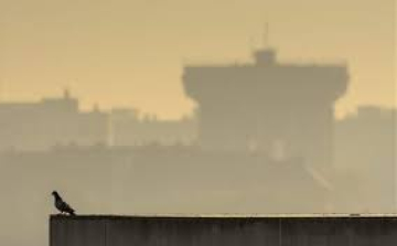 Magas a szálló por koncentrációja