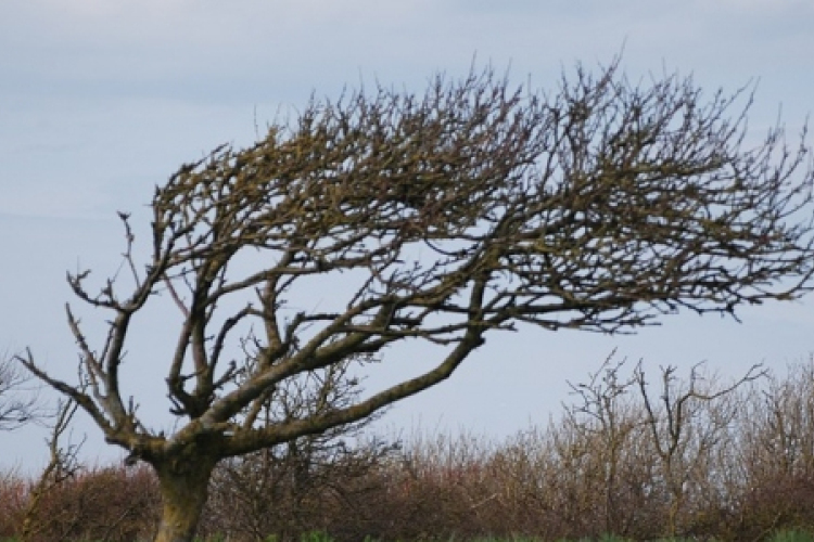 Vihar - Vasútvonalak és autópálya-pihenő működését is akadályozzák kidőlt fák