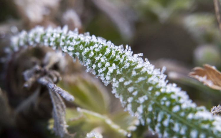 Durva lehűlés érkezik a hétvégén