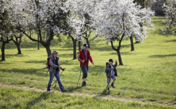 Mozdítsd meg „KÖRNYE”zeted!