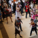 Kinyitotta kapuit az Agóra!