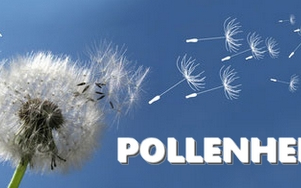 Pollen napló szolgáltatás