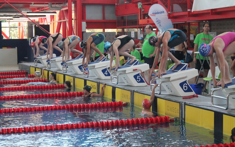 Bécsben is bizonyották tehetségüket a TVSE úszói