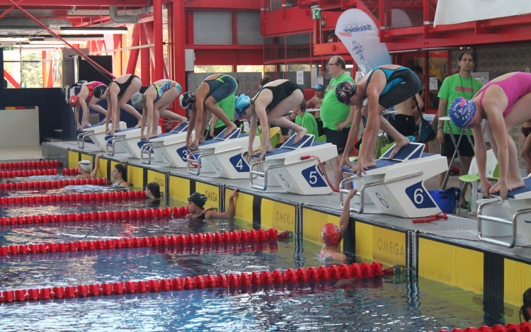 Bécsben is bizonyották tehetségüket a TVSE úszói