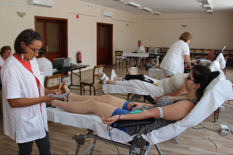 Légy mérvadó – légy véradó