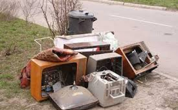 LOMTALANÍTÁS TATABÁNYÁN!