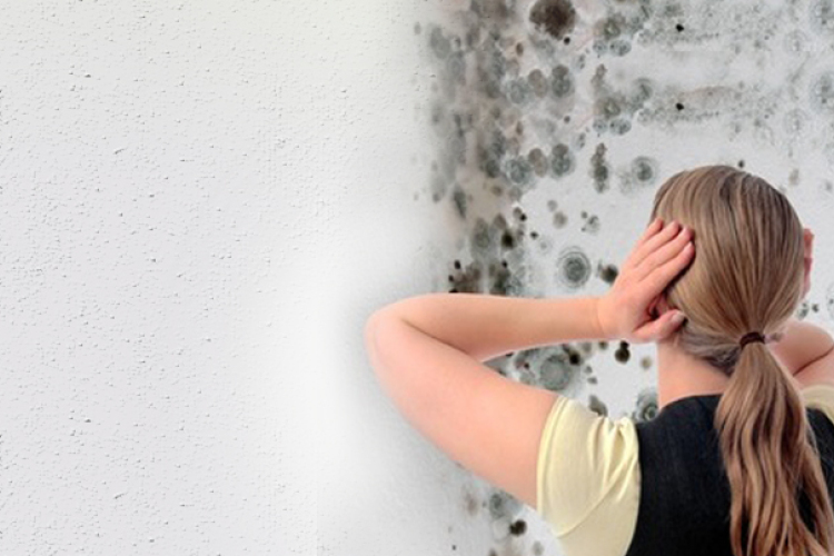 INDUL A PENÉSSZEZON - ÍGY VÉDEKEZZÜNK!